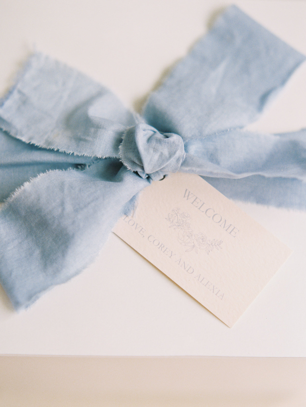A&BAlexiaCoreyWedding2