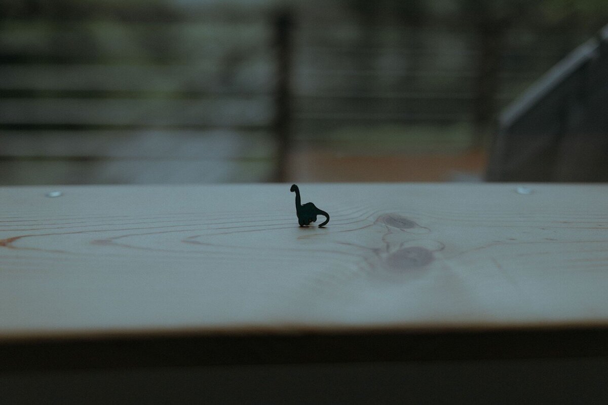 elope-in-minnesota-226