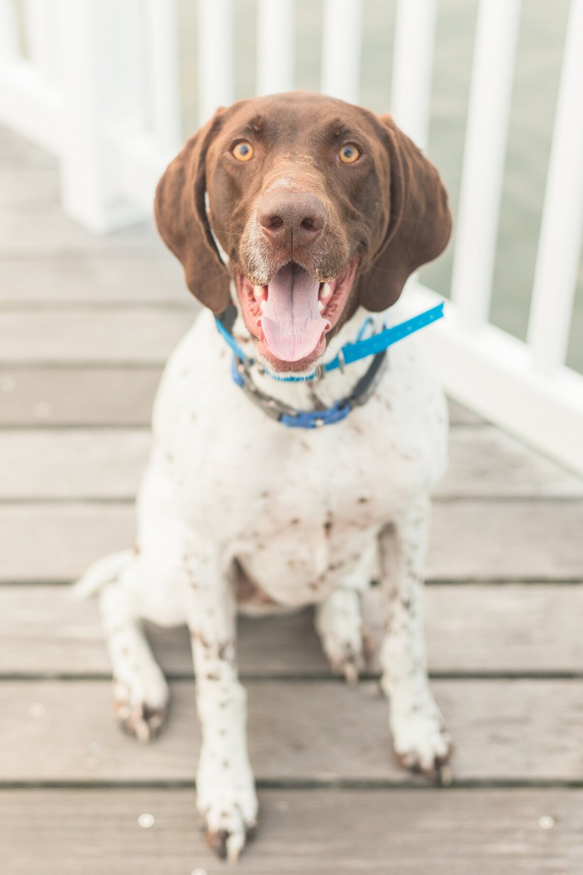 Margate, NJ + Engagement Session + Ariel + Seth + Jewish Couples + Yael Pachino Photogarphy LLC_3542