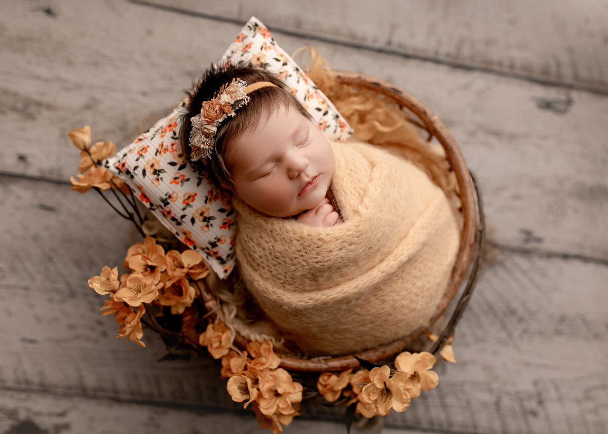 lafayette-indiana-rebecca-joslyn-photography-newborn-photographer-girls-flowers