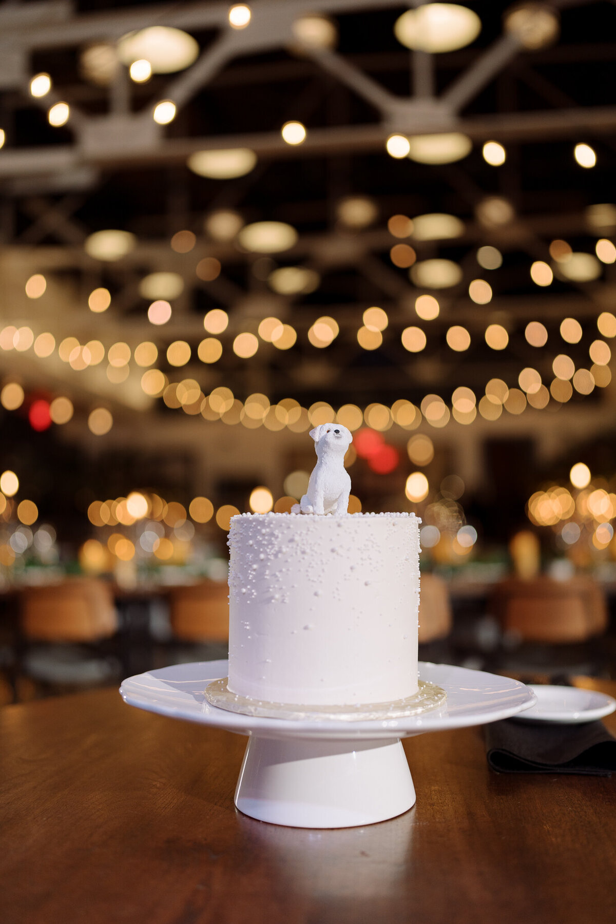 Shannon + Mike - Ritz Carlton St. Louis - Willow - Olive and Oak - Derek Coffman Photography-13