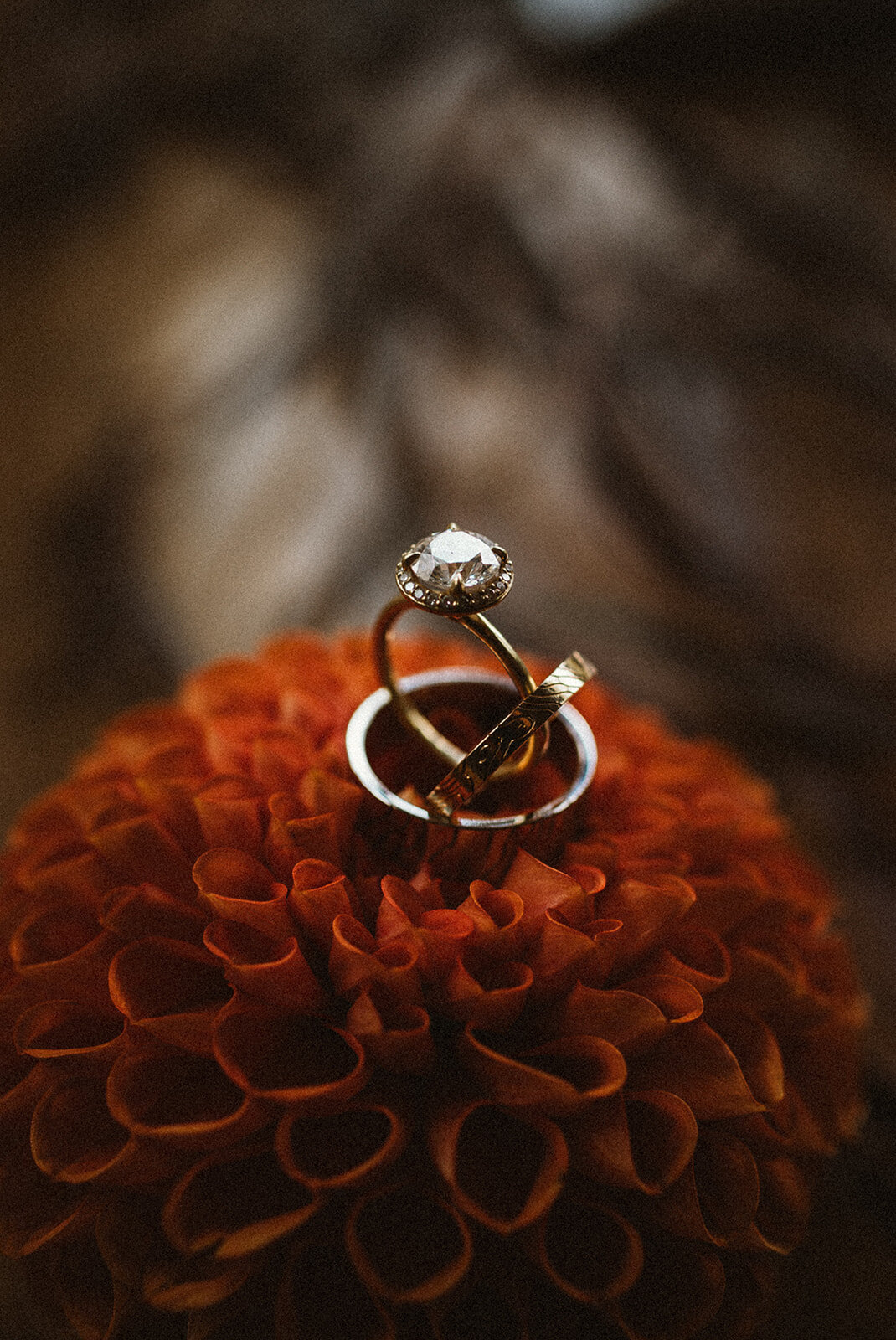 wedding dahlia and rings