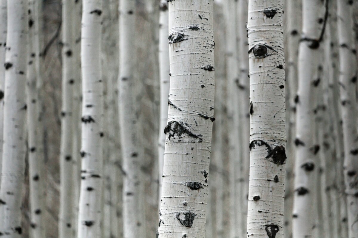 patrick-hendry-_lofCeUHMOo-unsplash copy
