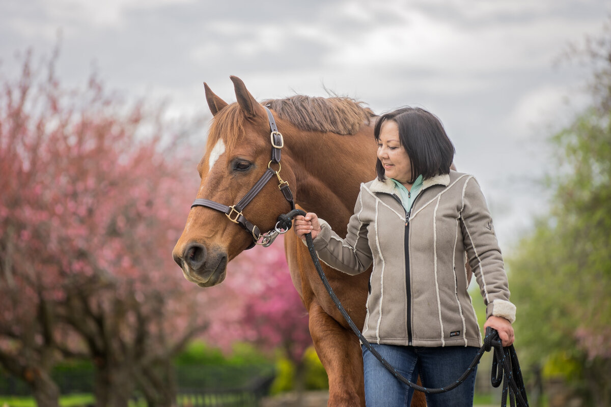 Equestrian-72