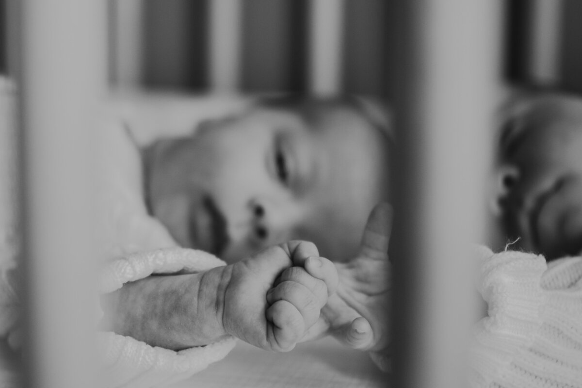 6_8_2025_Deck_Newborn_037