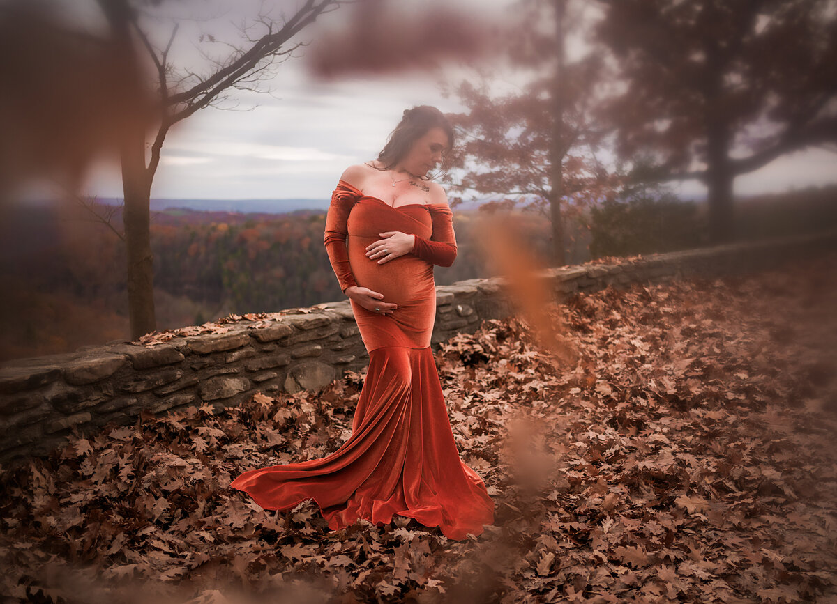 Buffalo, NY and Rochester, NY maternity photographer. Letchworth, NY Buffalo, NY and Rochester, NY and WNY maternity and newborn photographer. Fall maternity session (53)