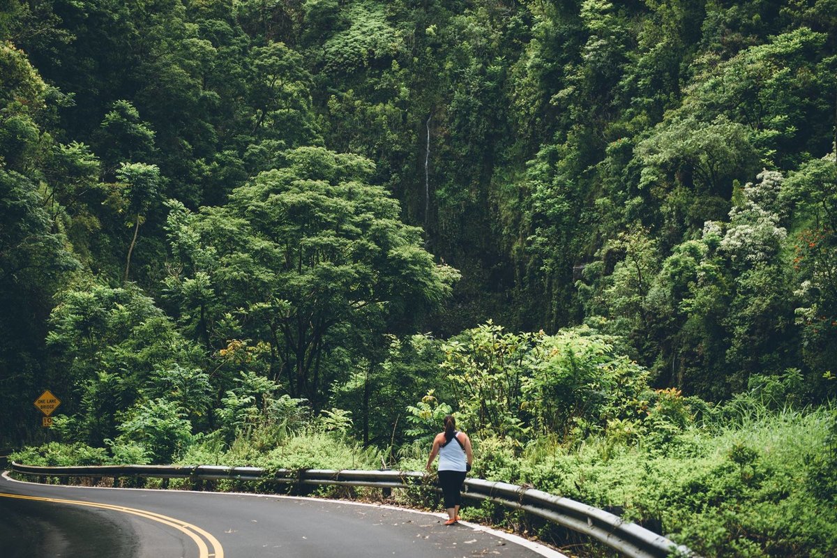 Hawaii (1)