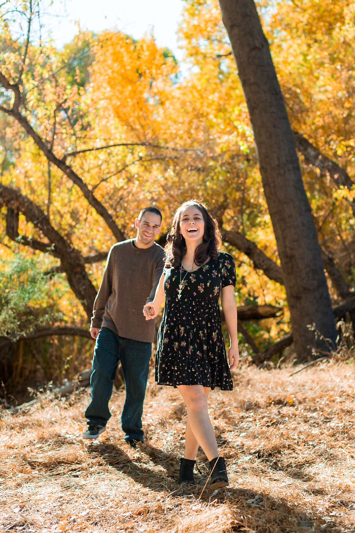 fall-family-phoenix-5
