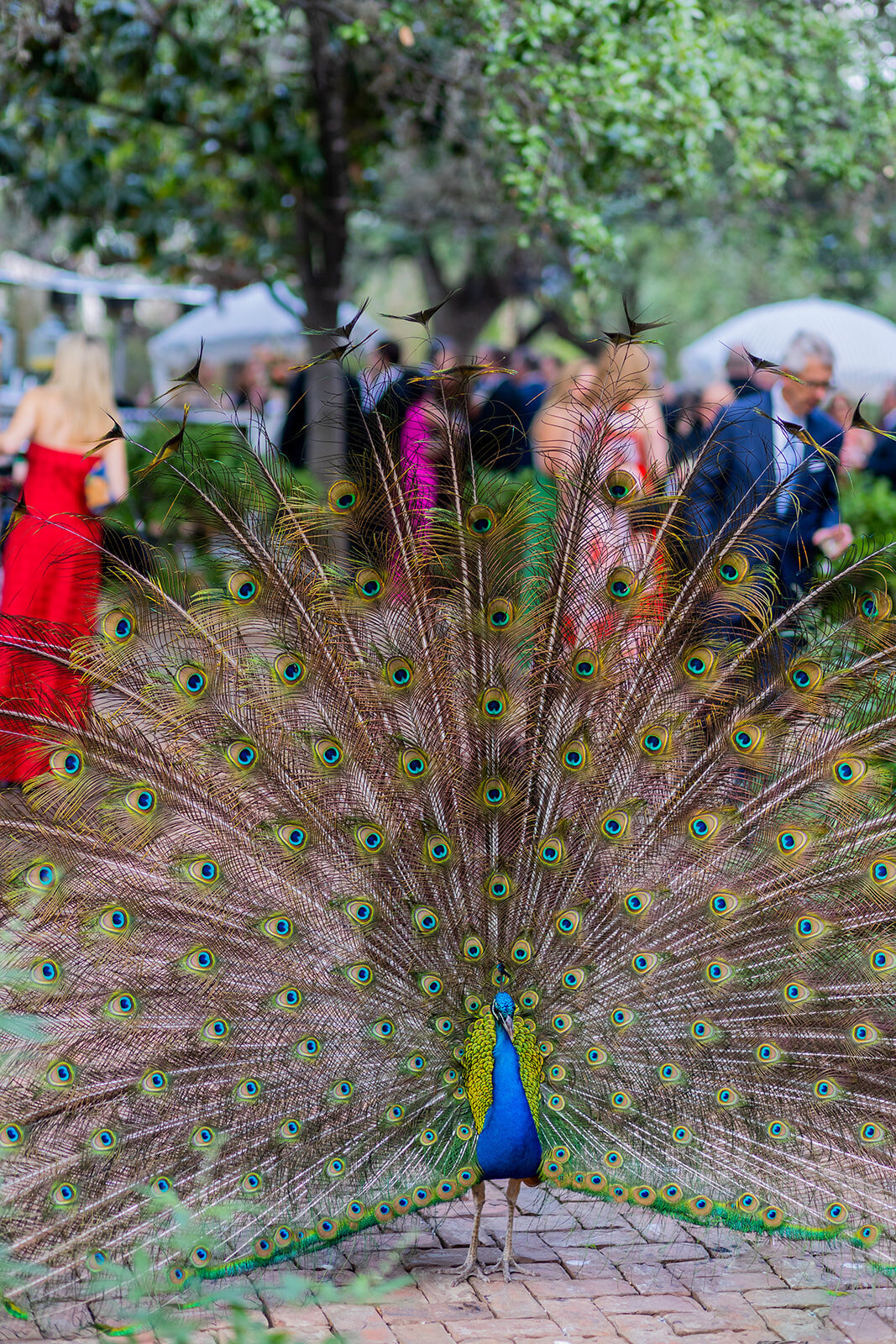 eryn_chandler_photo_austin_wedding_photographer_mattie's26