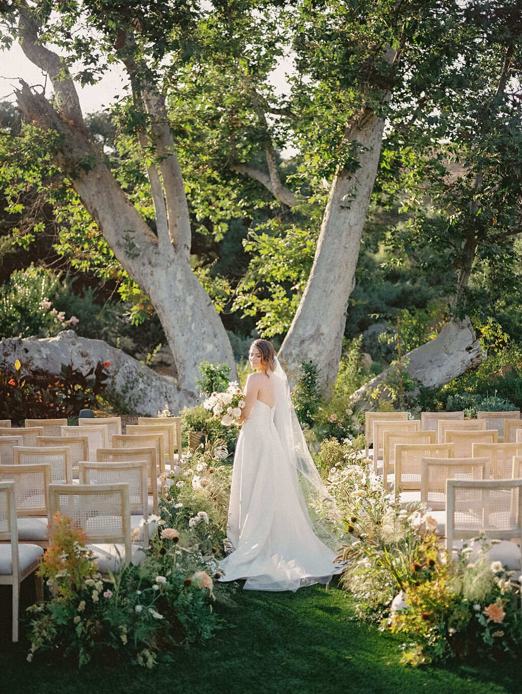 MonserateWinery-film-27