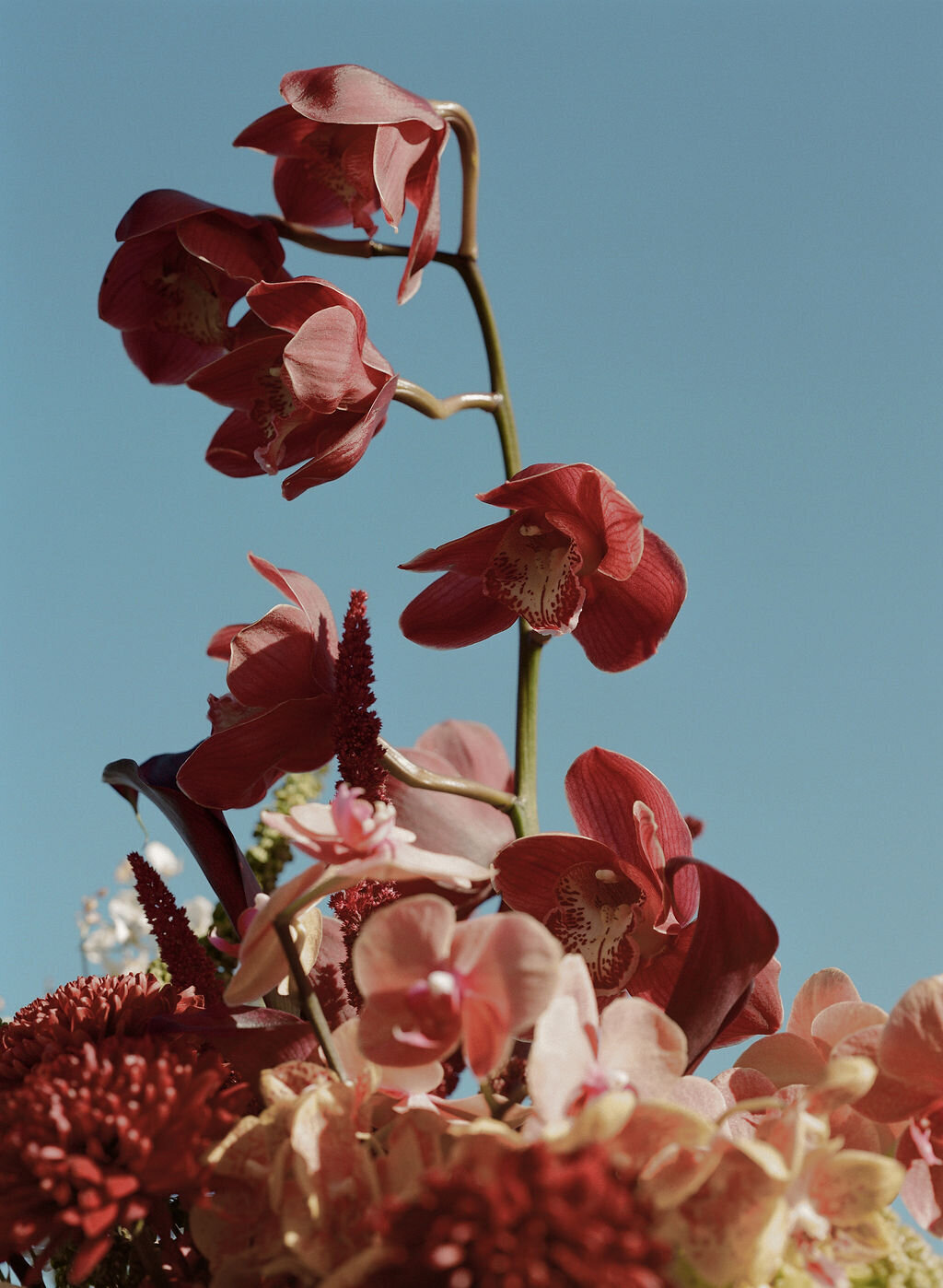 wedding-artists-co-norman-blake-photographer39