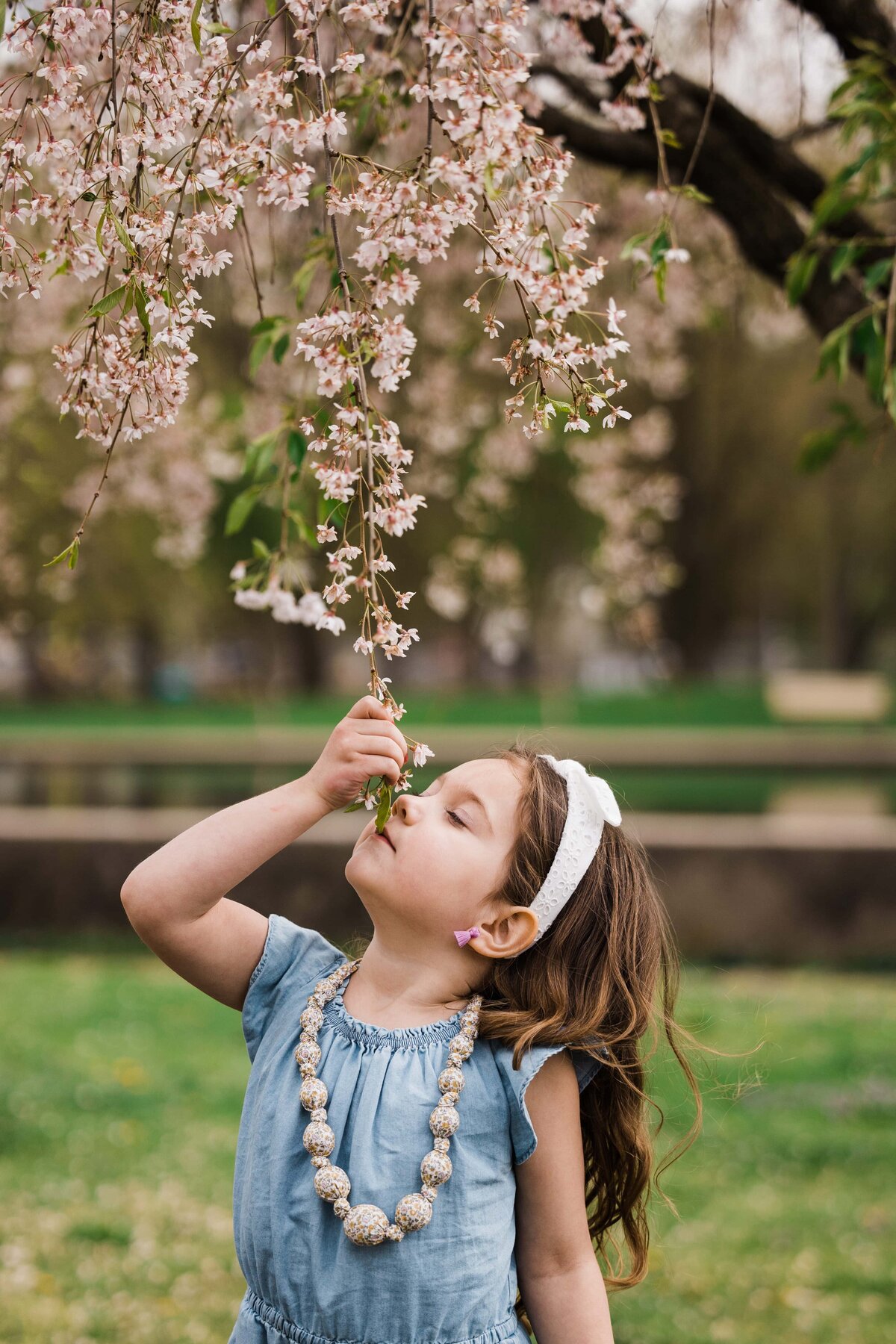 A girl smelling cherry blossoms in a park, captured by a talented family photographer in Pittsburgh.
