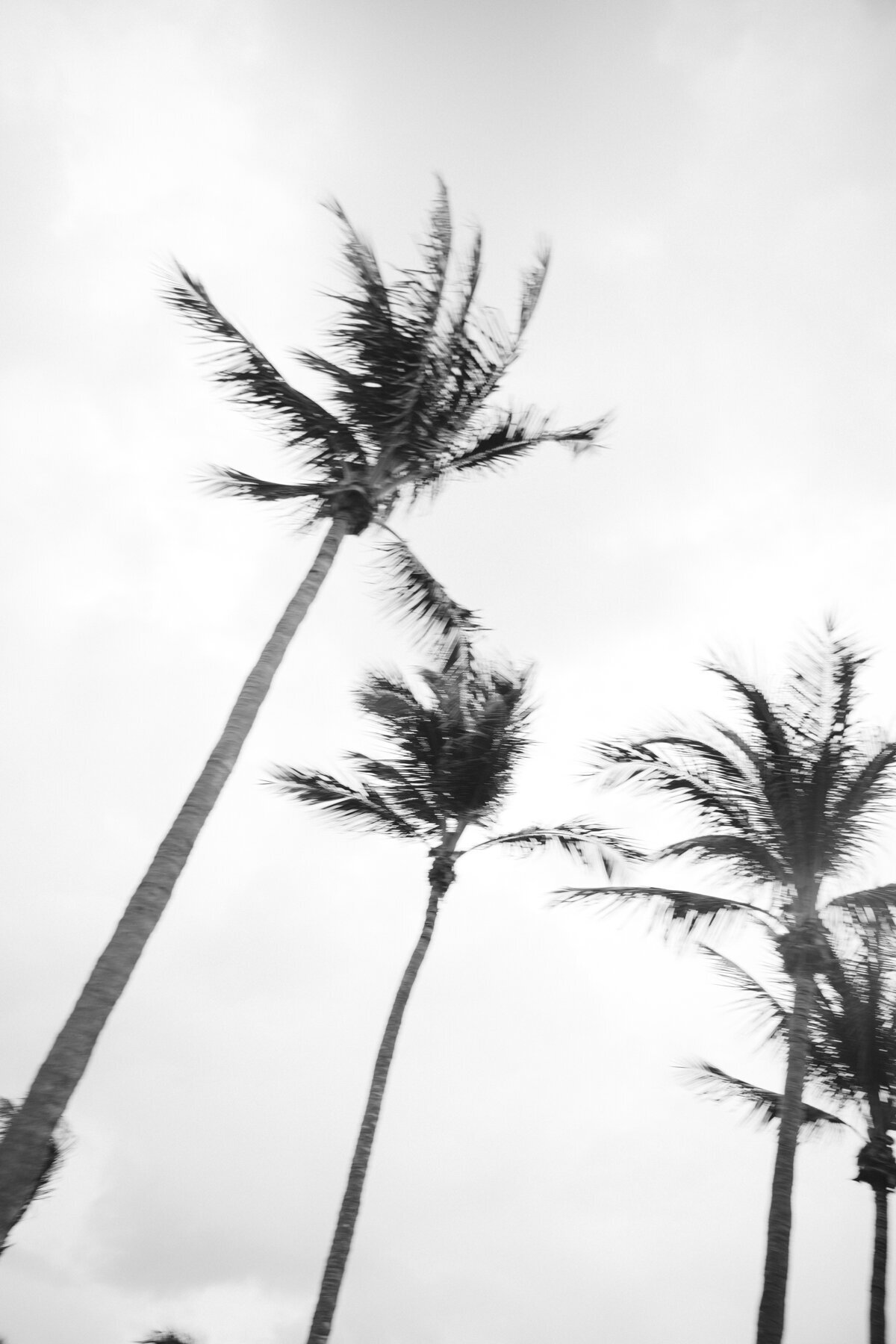 Jenny Losee Photography (106 of 149)