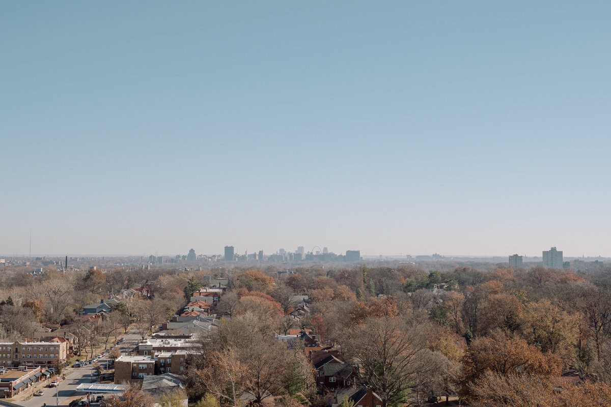 Shannon + Mike - Ritz Carlton St. Louis - Willow - Olive and Oak - Derek Coffman Photography-2