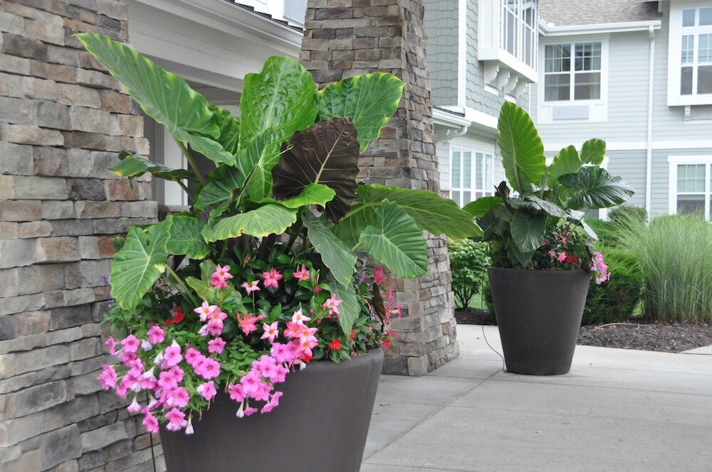 Residential landscape company project in Kansas City