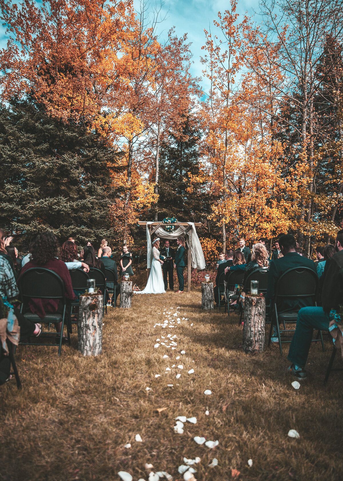A couple get married outdoors in front of the guests on a grass aisle by a forest in Canada.