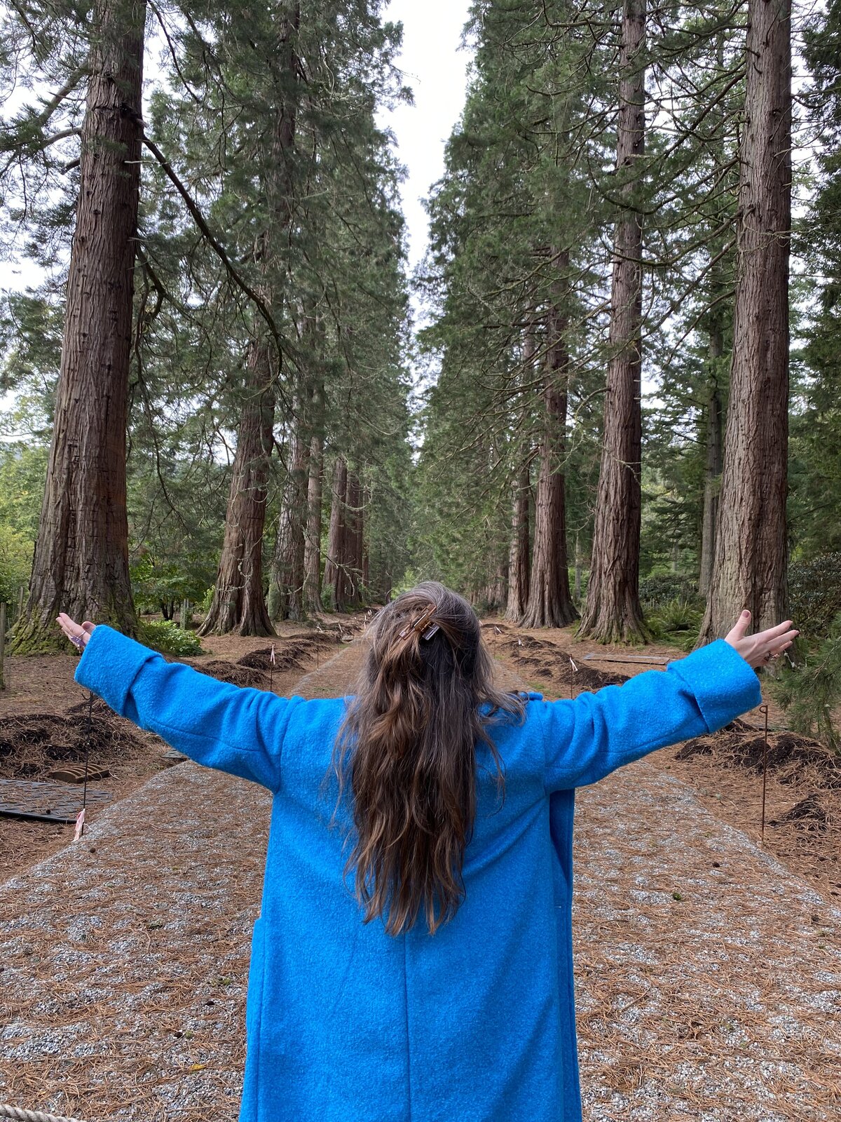 Forest Love Bunny Love-Schock 