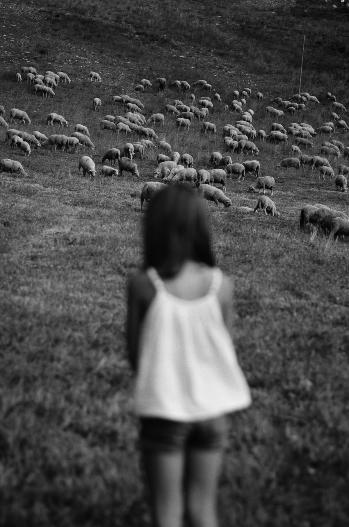 caroline-hernandez-nxBRGt9qZOU-unsplash