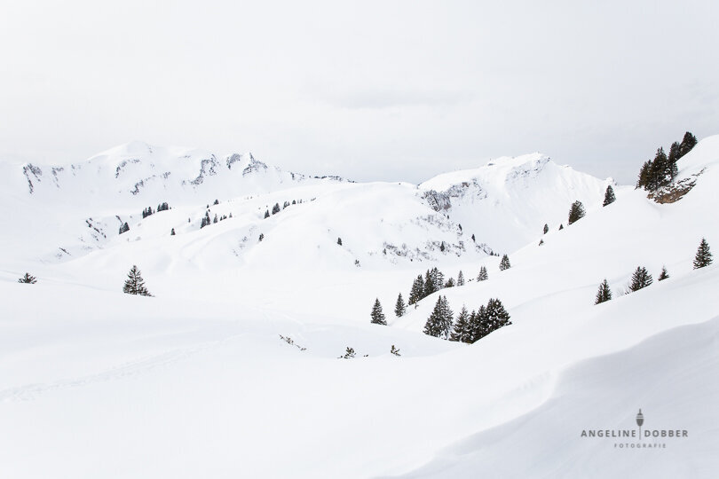 6615-RoyReizenKleinwalsertal