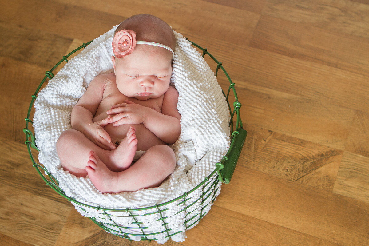 newborn baby girl session. newborn in a basket by phoenix newborn photographer