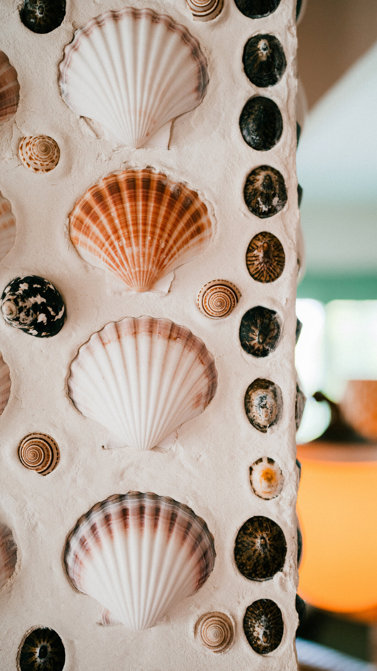 CORAL SANDS-(33 of 68)