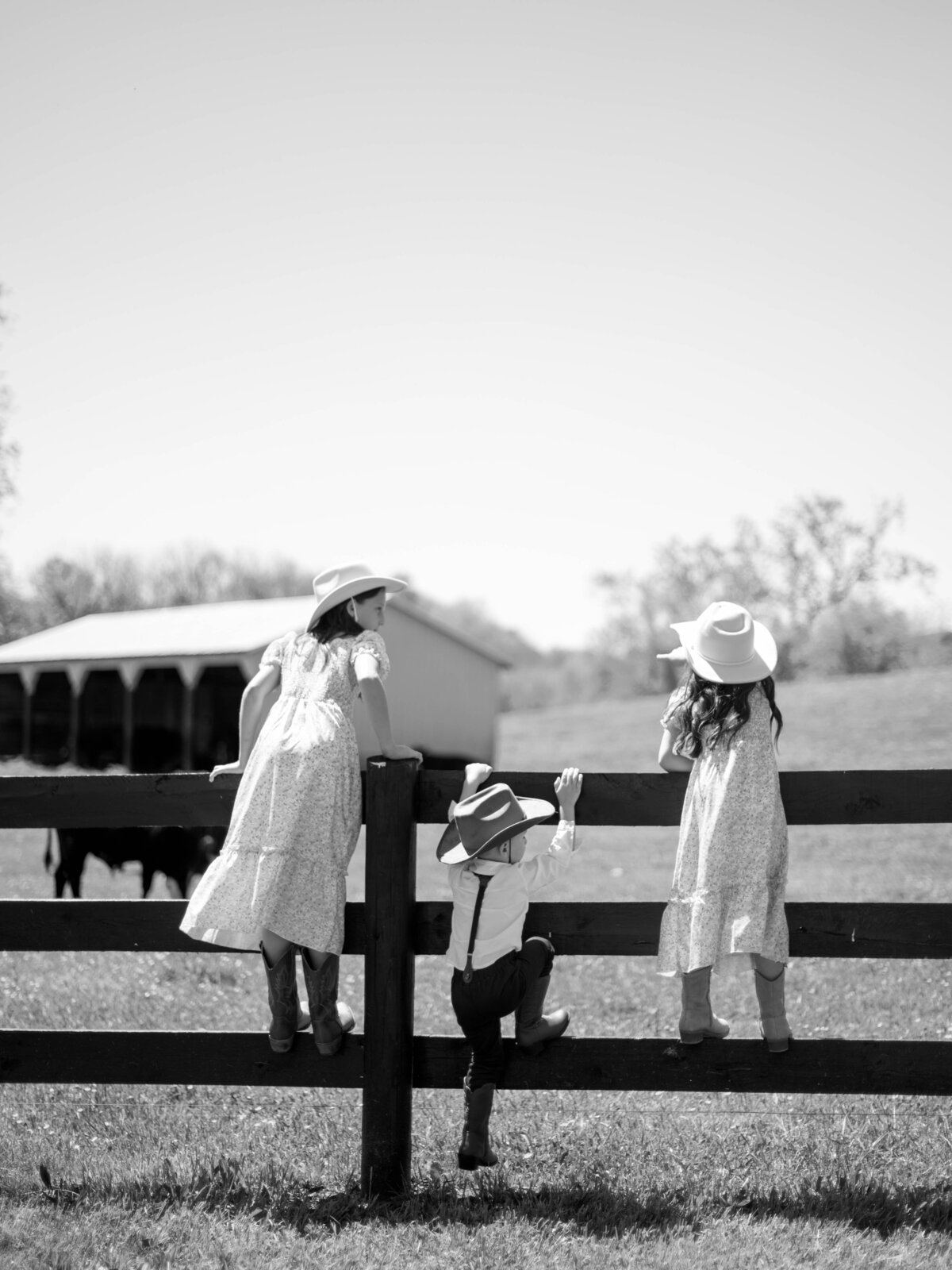 House-of-Pearl-Previews-2024-48