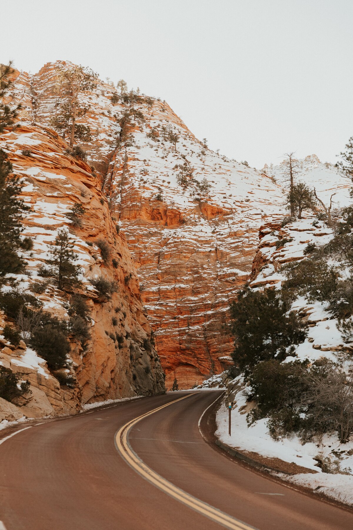 Zion-National-Park-17