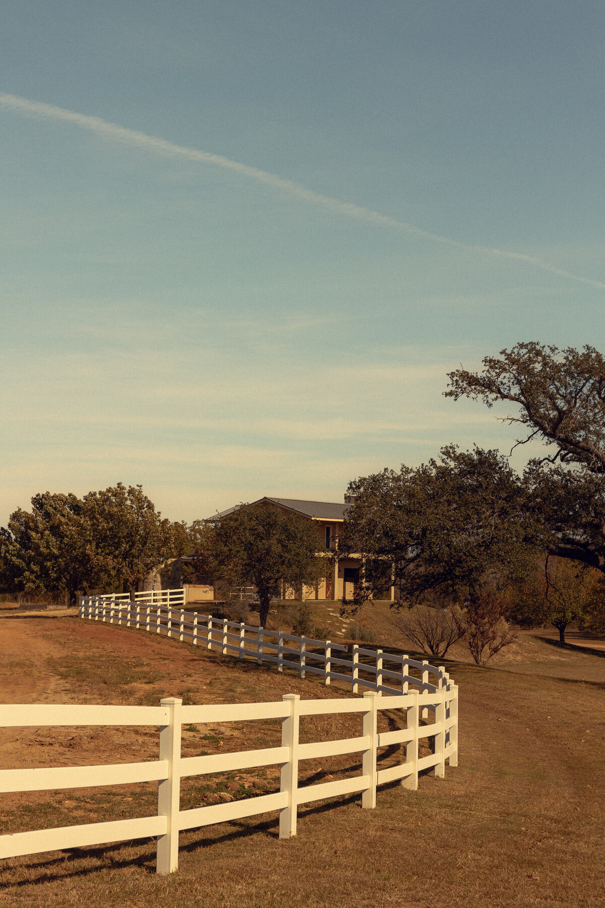 Shepherd - 1 Before - Payton Hartsell Photography-9