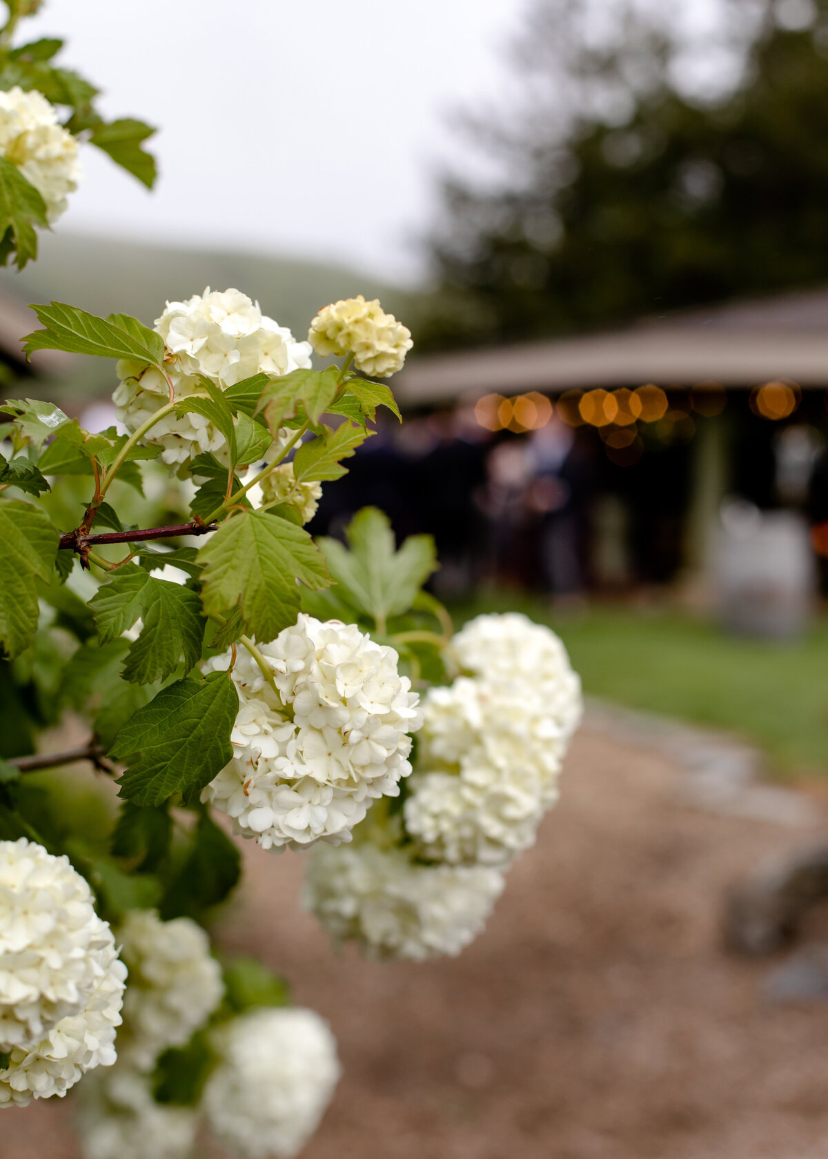 05202023_MaryBeth+AlekWedding_PetalumaCA_AnjaJensenPhotography-1160
