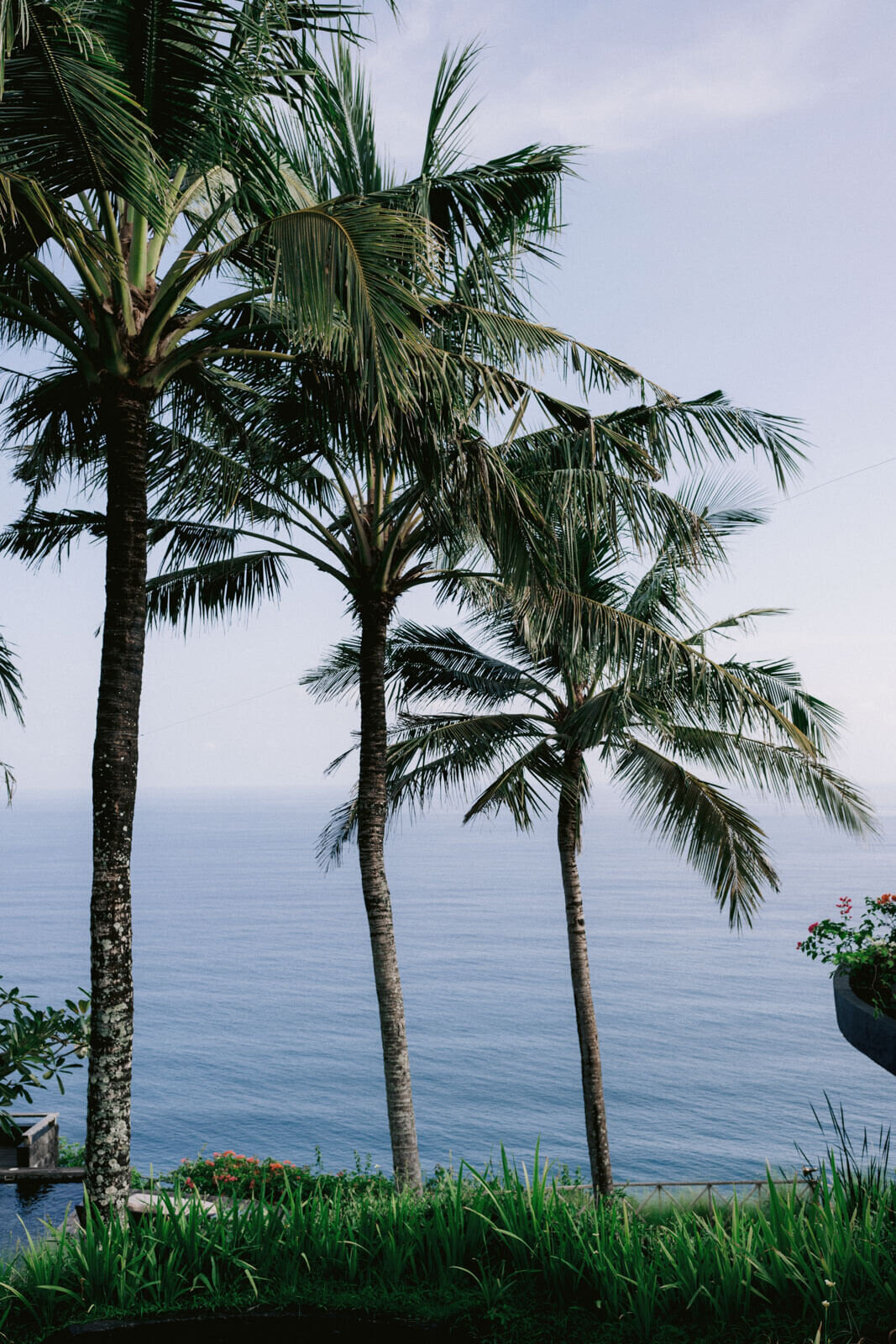 Coconut trees with the ocean in the background at Khayangan Estate, Bali, Indonesia. Image by Jenny Fu Studio