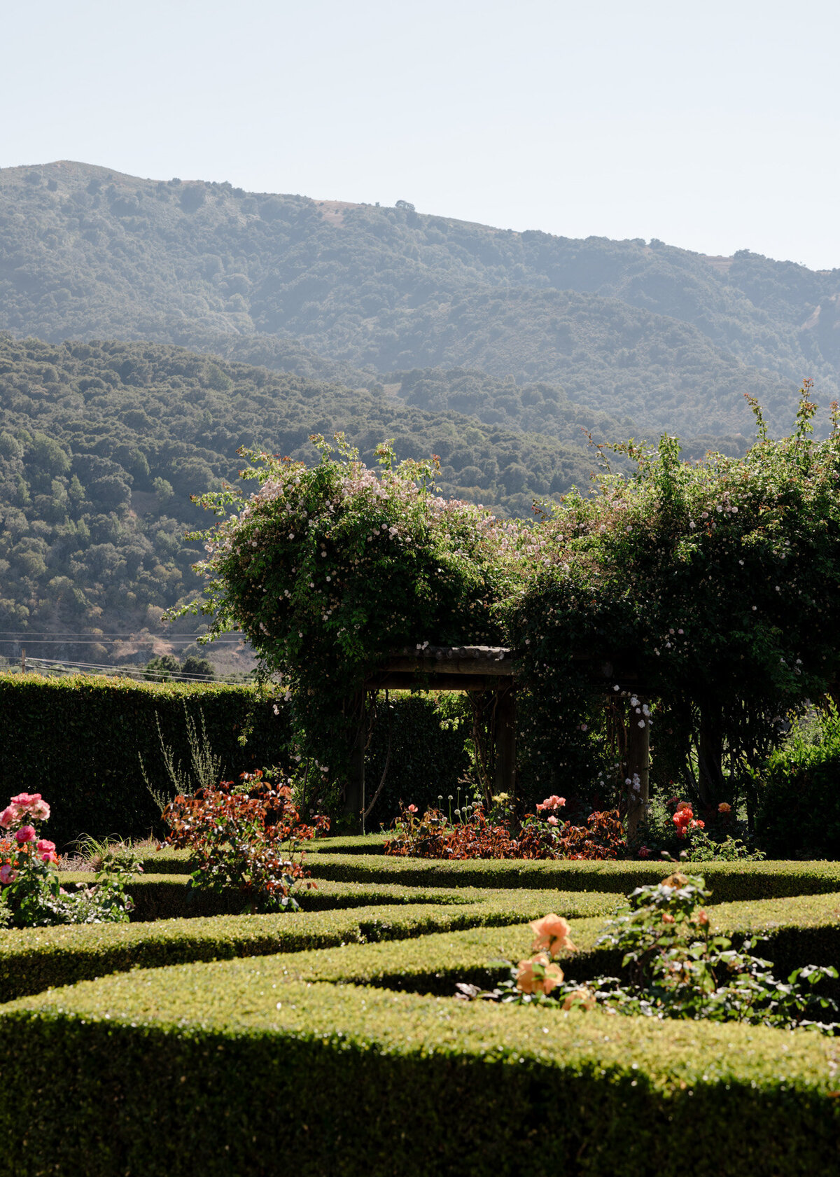 bernardus-lodge-wedding-planning-and-design-jacinda-weddings-and-events-20