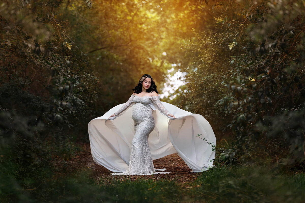 Gorgeous pregnant woman wearing a long flying dress.