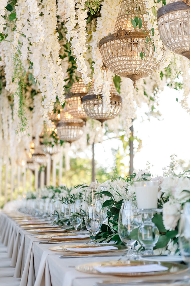 Alicia Parks Photography0001-7SM2