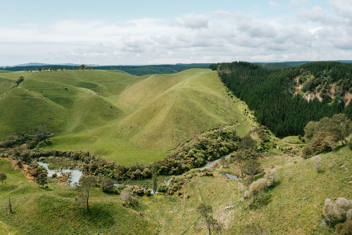 Forestry Fielday-0848
