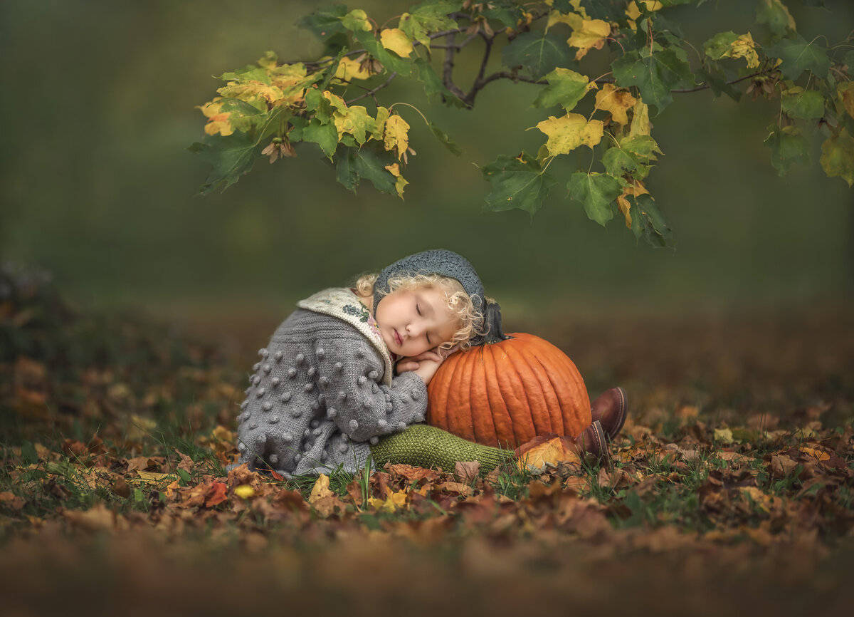 Capture the magic with our delicate fairy portrait — a whimsical image of a tiny fairy perched gently on a handcrafted toadstool. Perfect for fantasy-inspired children's photography sessions in Ottawa.

