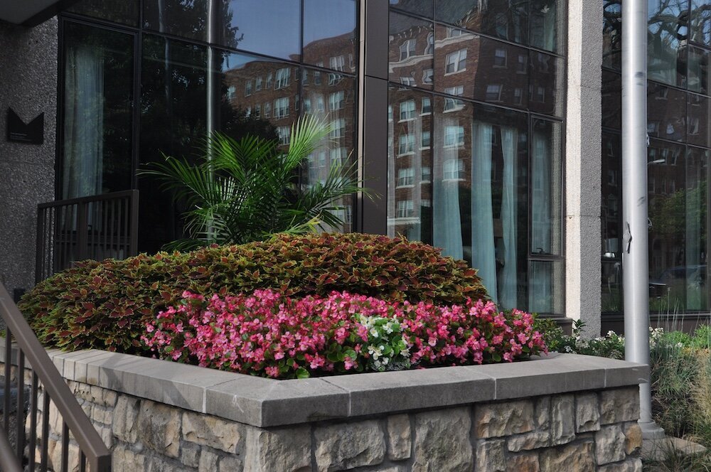 Residential landscape company project in Kansas City