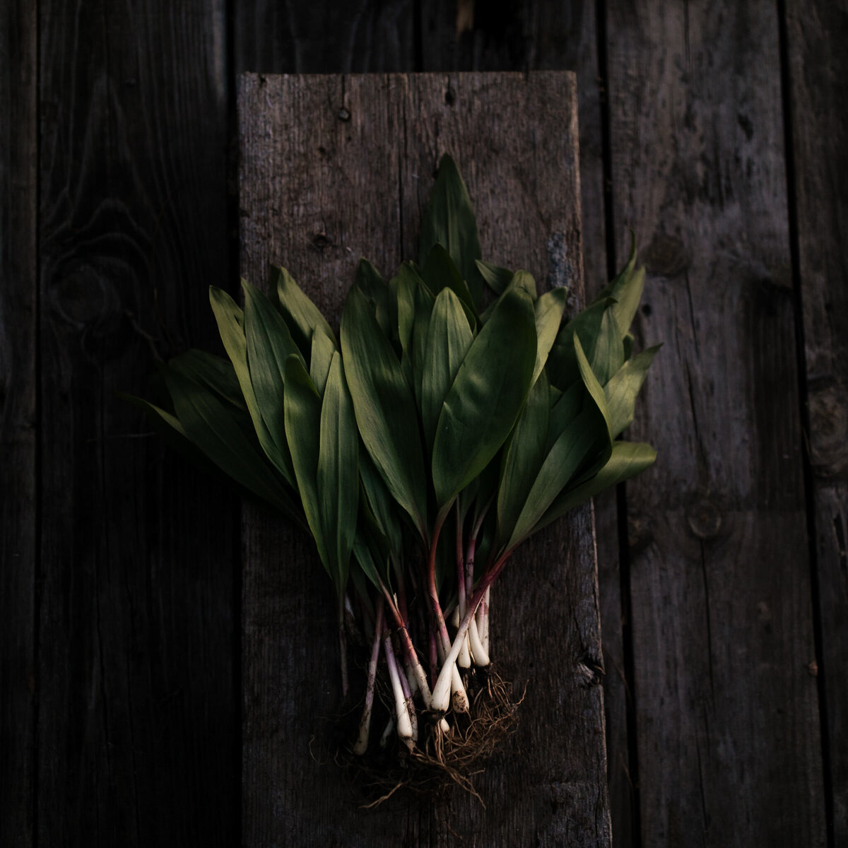 foodphotographerpeterborough-37