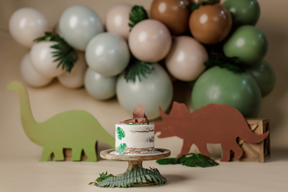 Huntsville AL Cake Smash Photographer