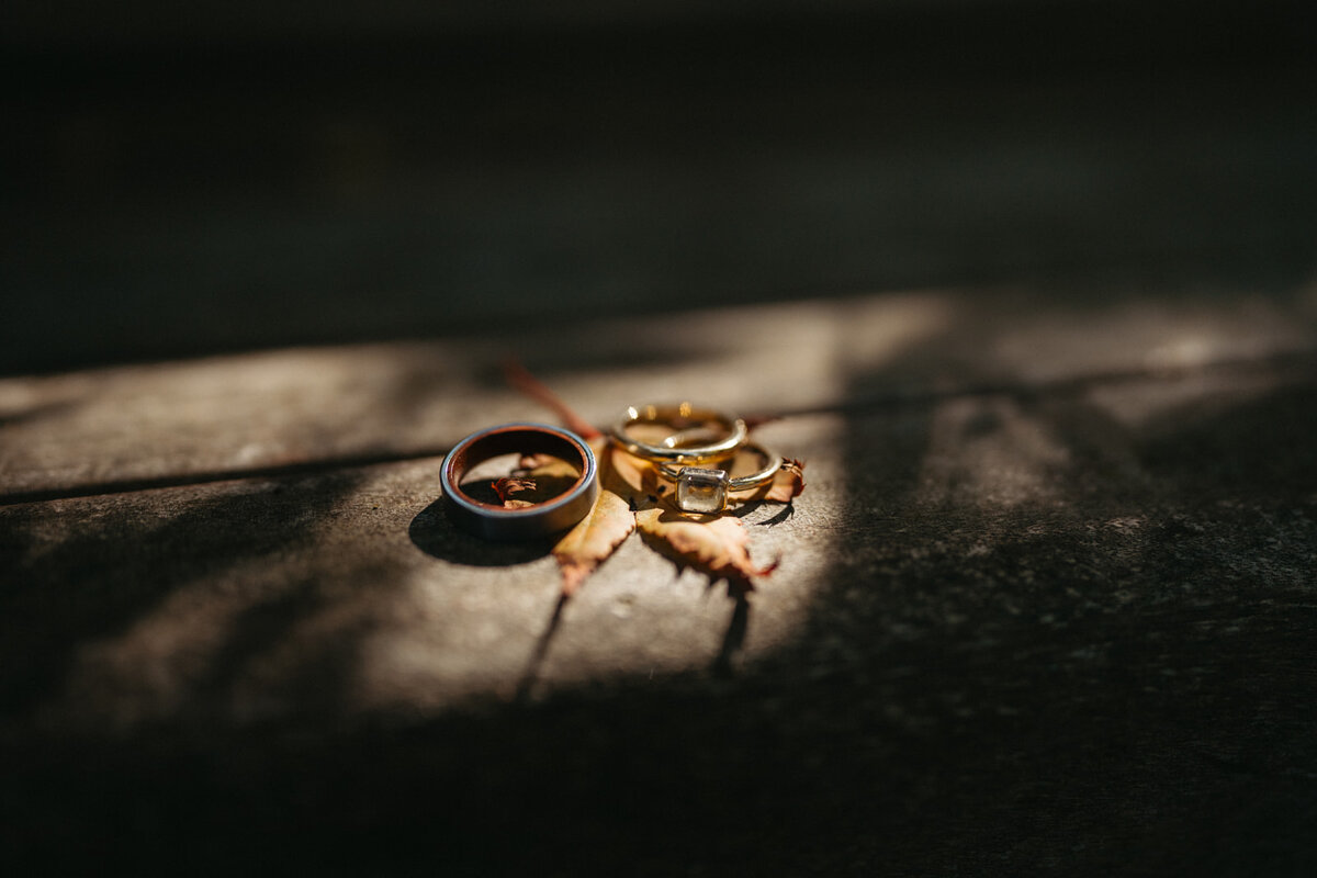 AnnieandKyle_Wedding-131 (1)