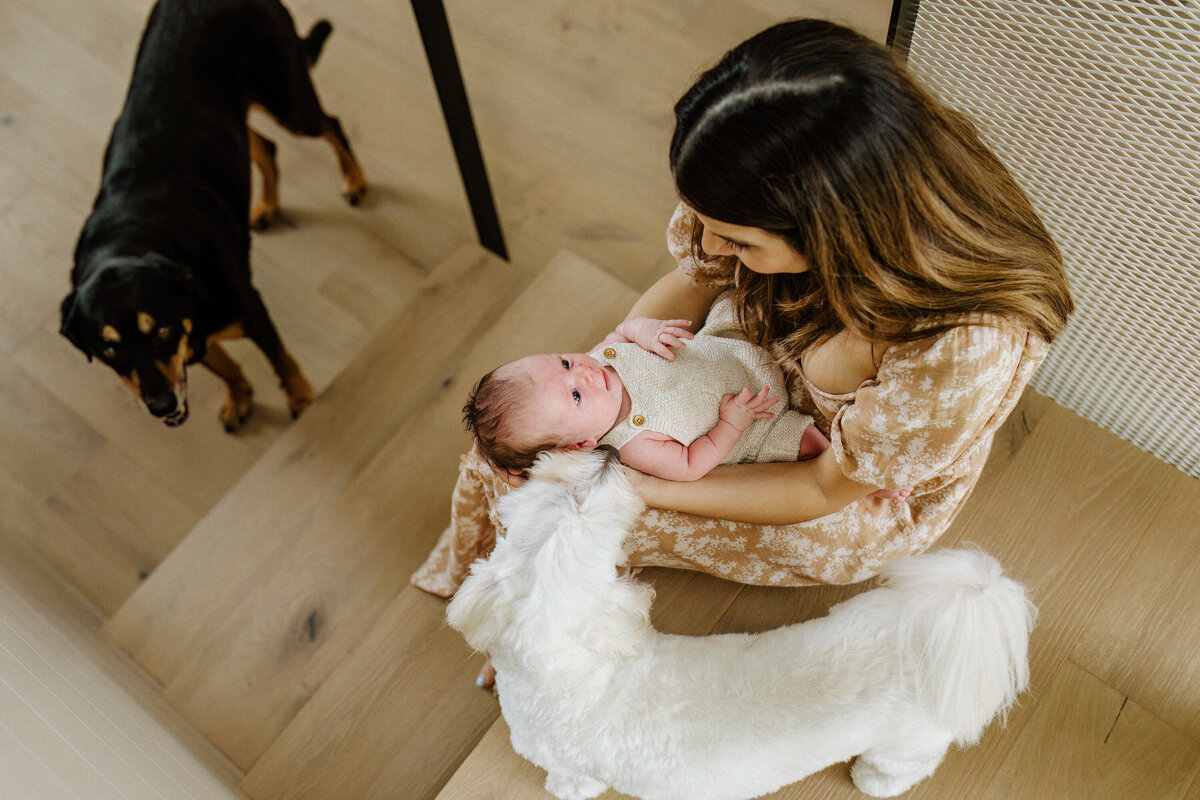 Austin-Lifestyle-Photographer-DaveyNewbornStory-72-grain