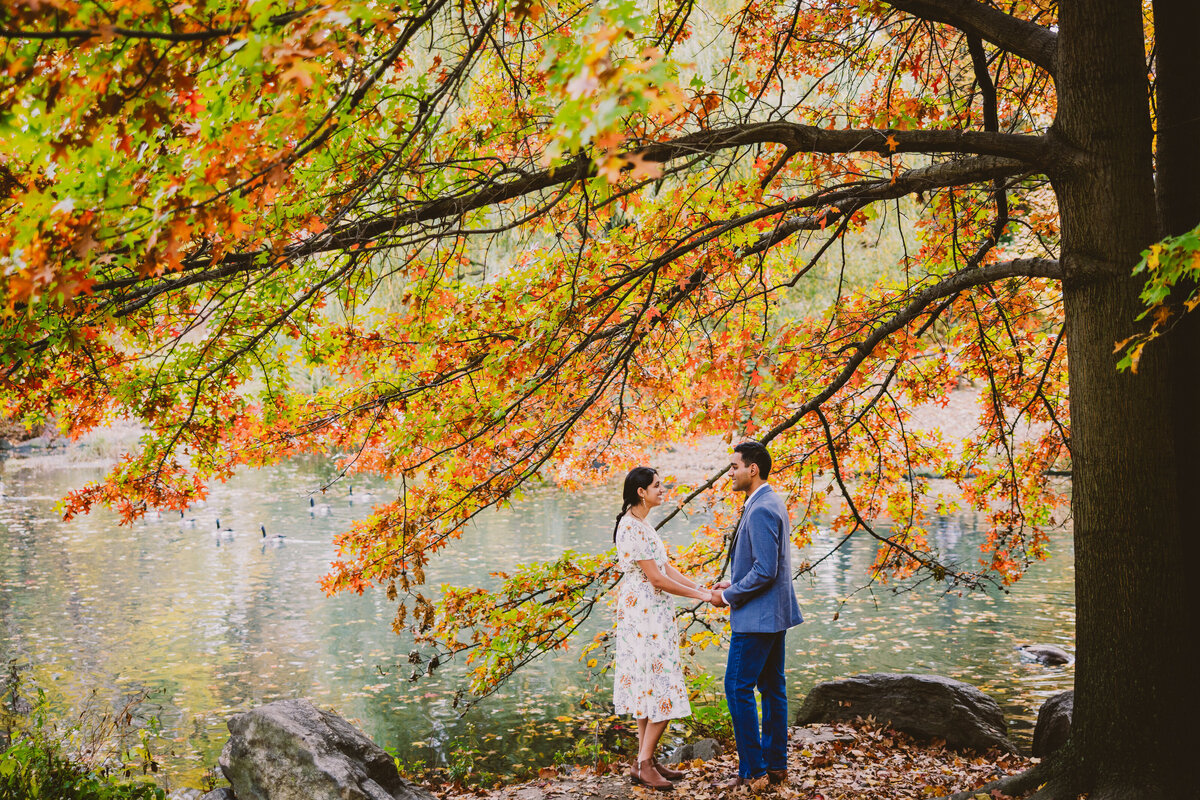 An engaged couple hold hands under a colorful autumn tree with the central park pool behind them around 100th street nyc