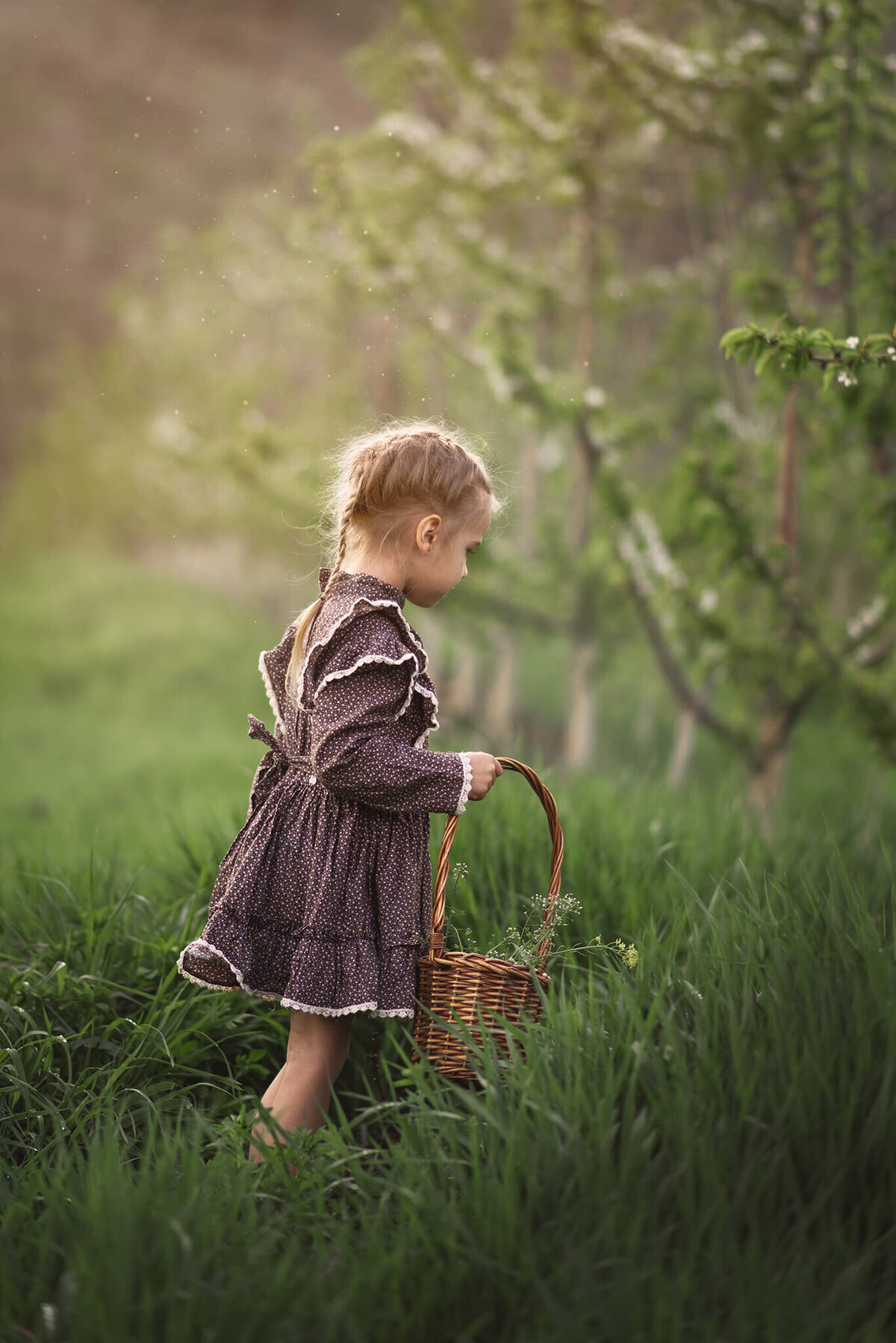 Brittany Danielle captures a beautiful image of a little girl wearing a vintage dress holding a basket in a grassy field in kamloops.