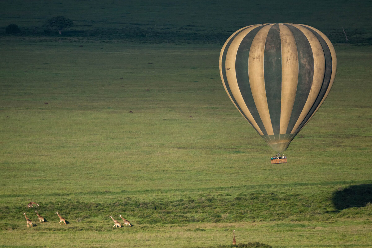 ©TCS_Serengeti_JE2023121413148