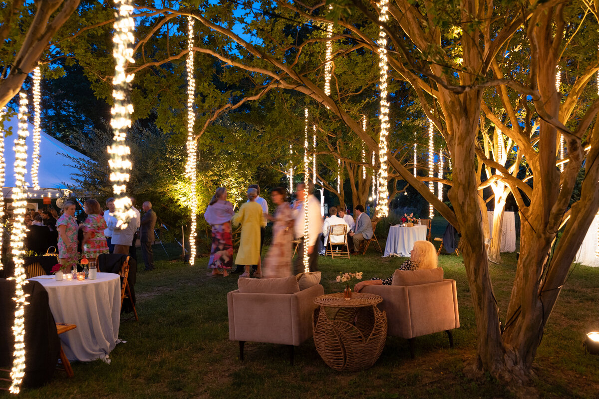 Historic-Tuckahoe-Richnond-Wedding-Planner-87
