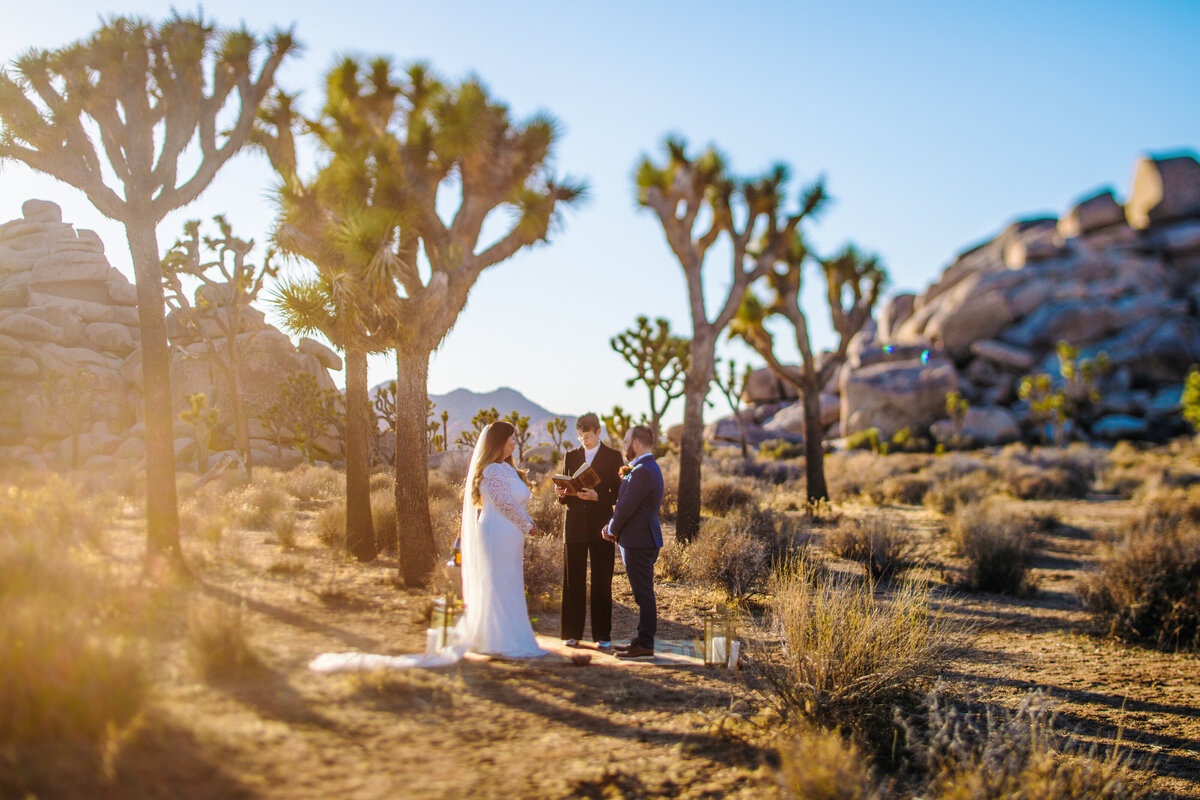 couple weds in desert