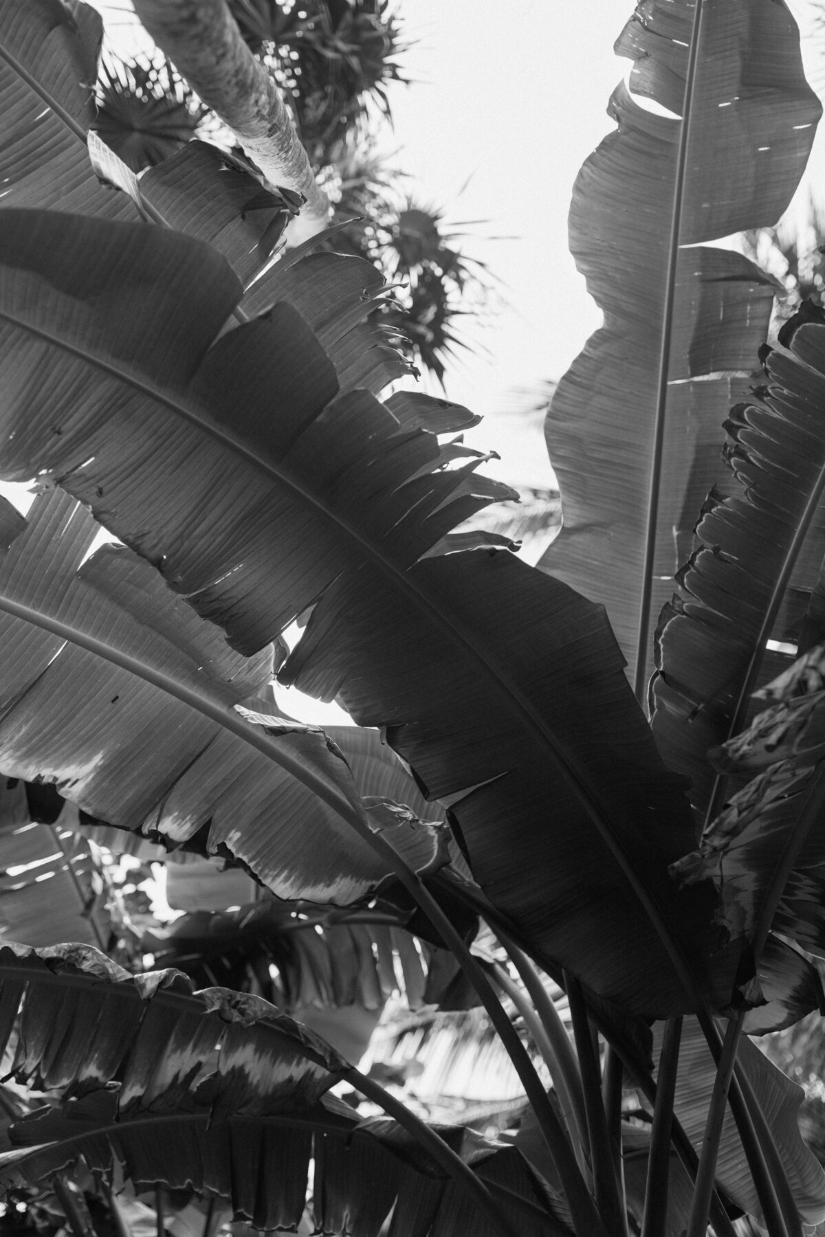 tulum-elopement-148