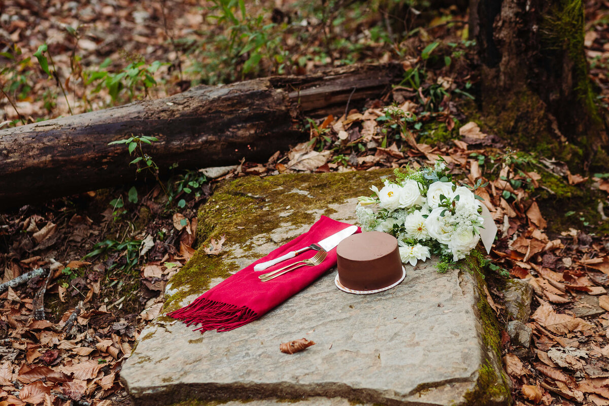 Moore-Cove-Falls-NC-Elopement-31