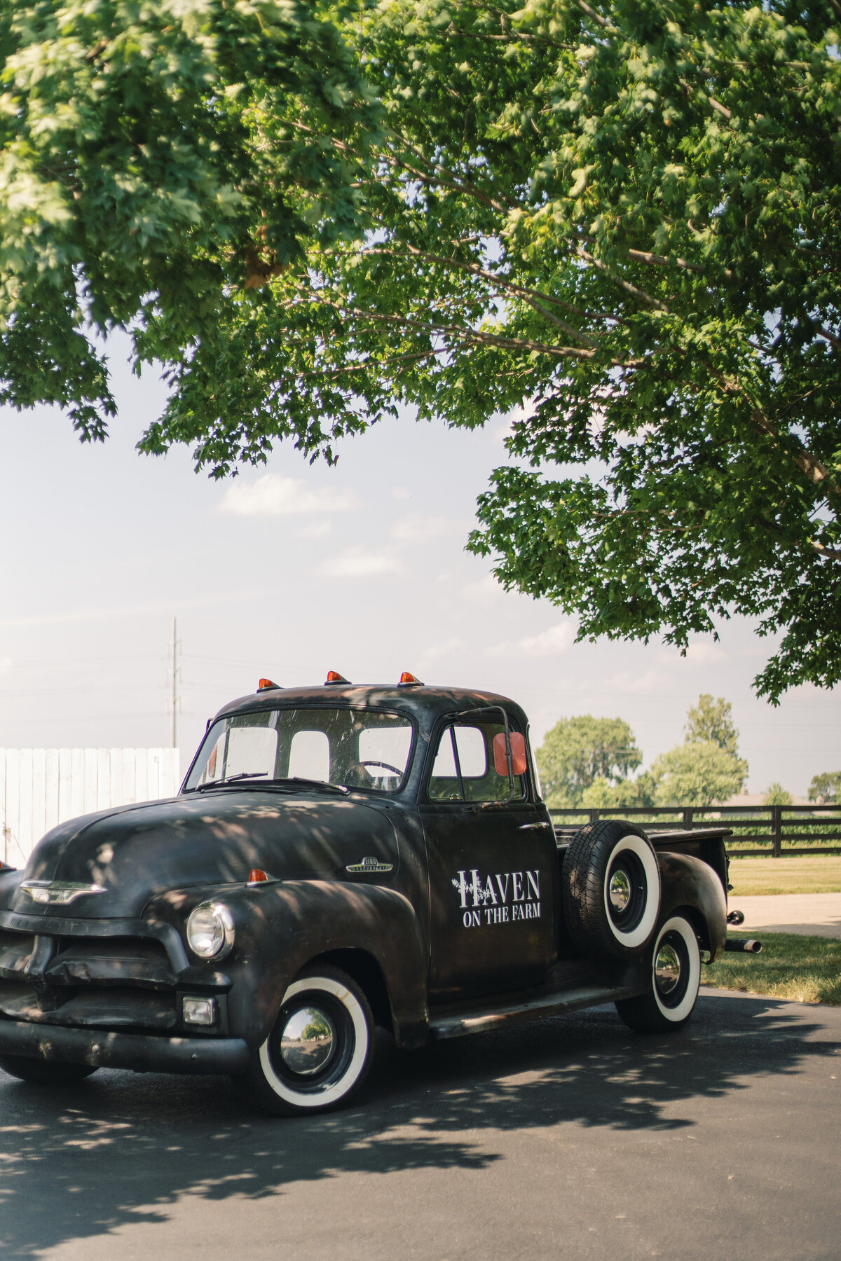 ST Haven On The FarmPam Cooley Peoria IL wedding photographer_19