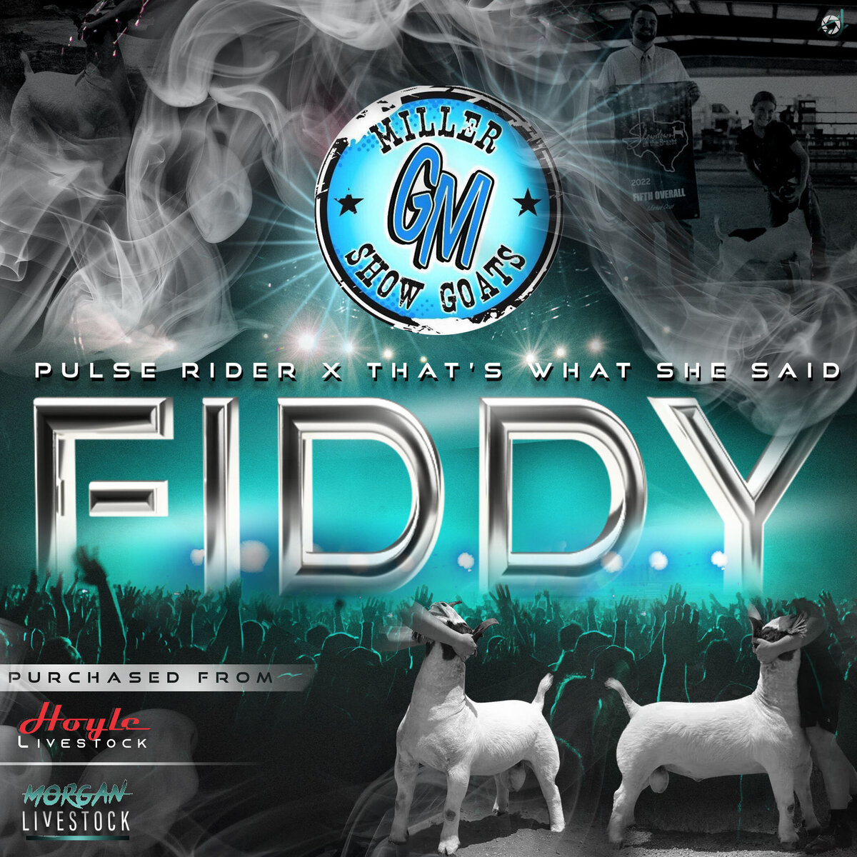 MSG_graphicBundle-FIDDY2.psdFIDDY
