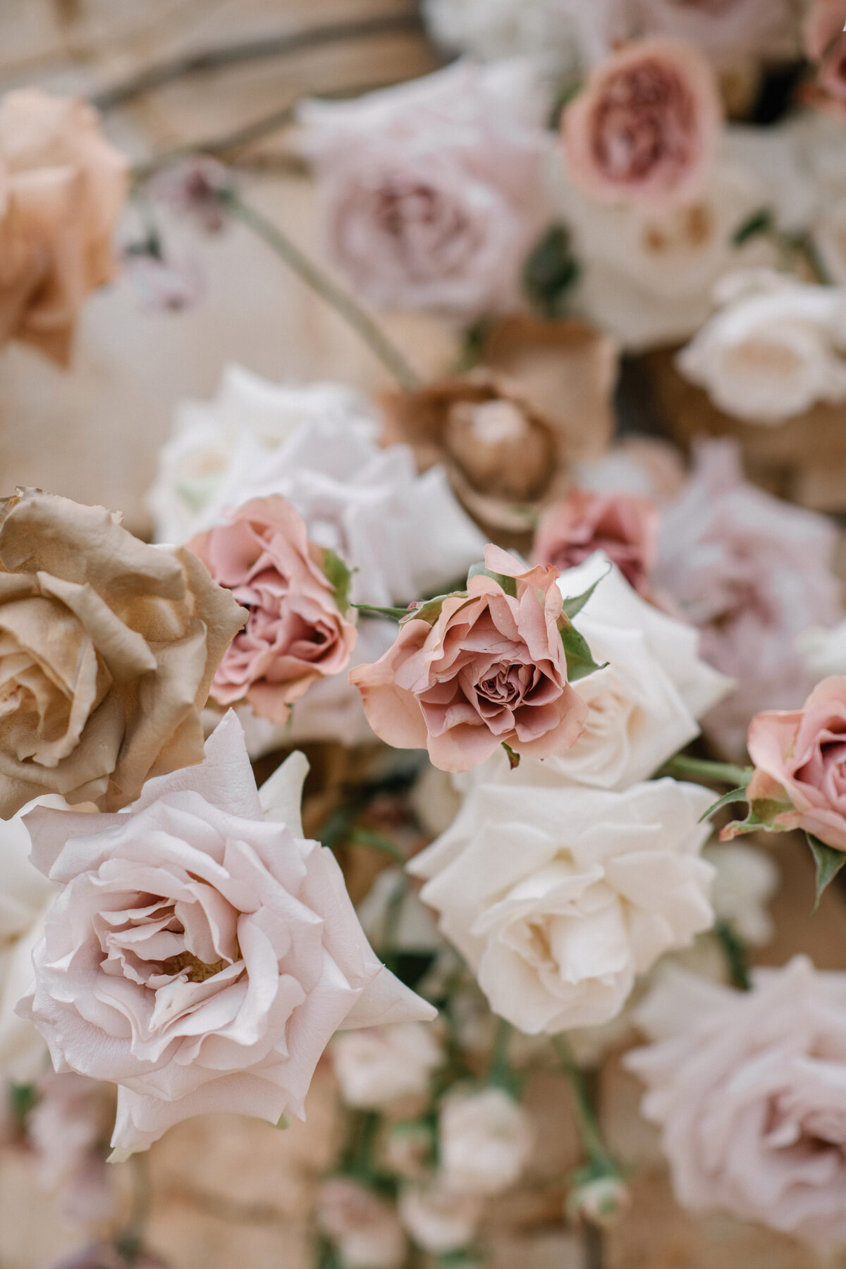 The-Lane-Mallorca-Wedding-Editorial-Photographer-Maria-Hibbs-07